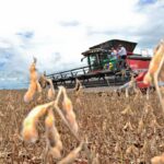 Goiás registra superávit de US$ 848 milhões na balança comercial de março