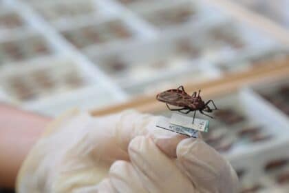 Goiás intensifica ações no combate à doença de Chagas