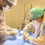 Prefeitura de Goiânia oferece atendimento veterinário gratuito para animais de tutores de baixa renda