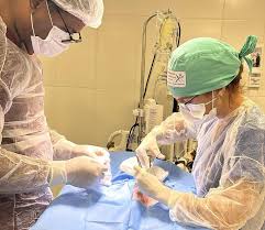 Prefeitura de Goiânia oferece atendimento veterinário gratuito para animais de tutores de baixa renda