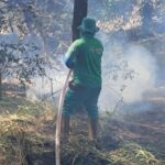 Prefeitura de Goiânia adota medidas para prevenir incêndios durante estiagem