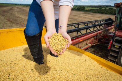 PIB de Goiás cresce 7,7% no primeiro trimestre de 2025