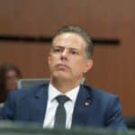 Delegado Eduardo Prado propõe suspensão da CNH para punir motorista que abandona animais domésticos em vias públicas