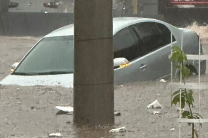 Temporal com granizo provoca alagamentos, quedas de árvores e morte em Goiânia