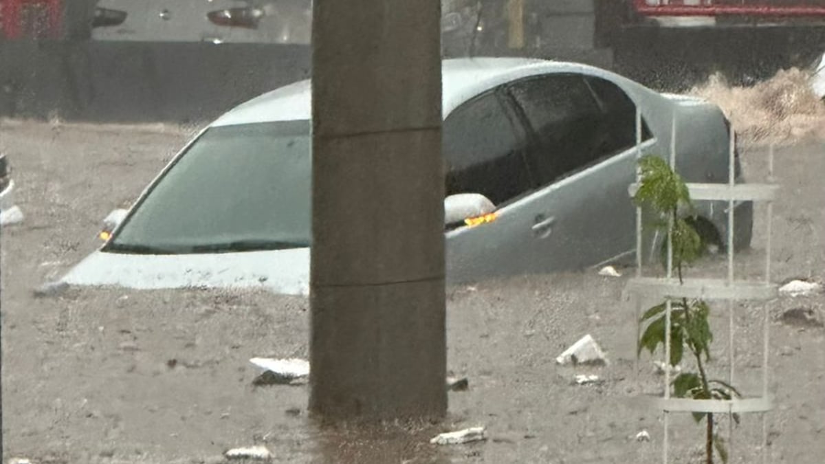 Temporal com granizo provoca alagamentos, quedas de árvores e morte em Goiânia