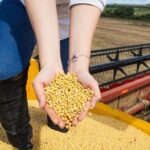 Goiás encerra 2025 com US$ 13,4 bilhões em exportações e superávit 20% maior que 2024