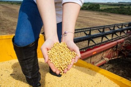 Goiás encerra 2025 com US$ 13,4 bilhões em exportações e superávit 20% maior que 2024